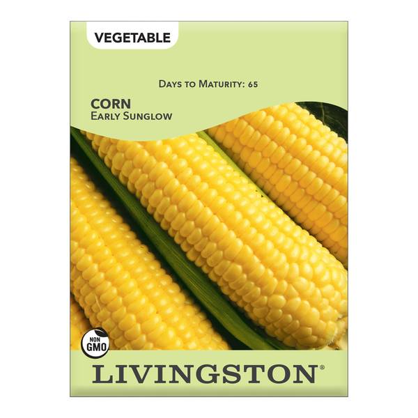 Photo of Early Sunglow Corn