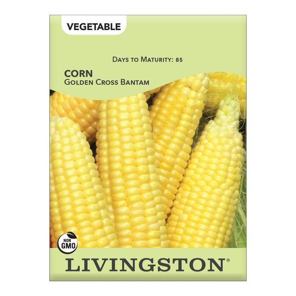 Photo of Golden Cross Bantam Corn