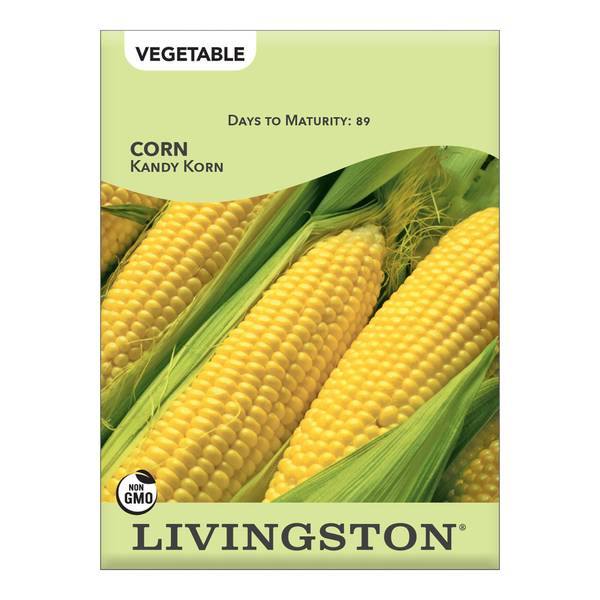 Photo of Kandy Korn Corn