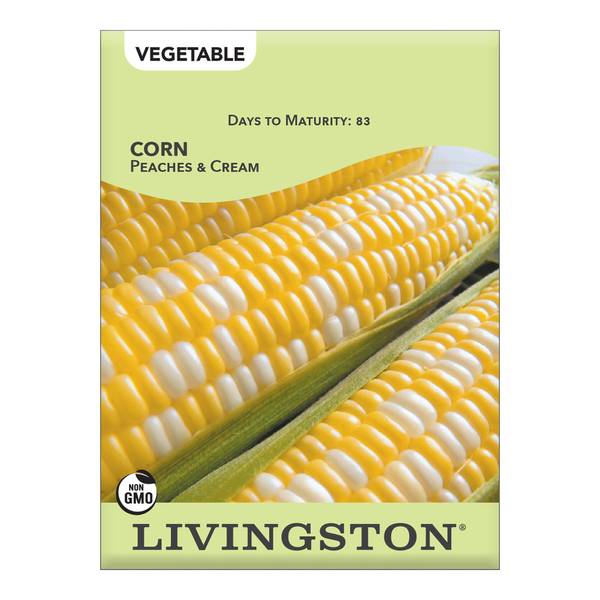 Photo of Peaches and Cream Corn