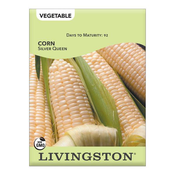 Photo of Silver Queen Corn