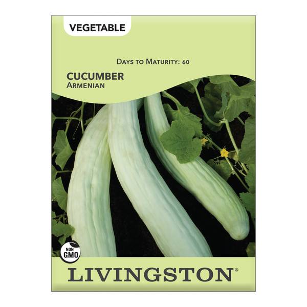 Photo of Armenian Cucumber Seeds