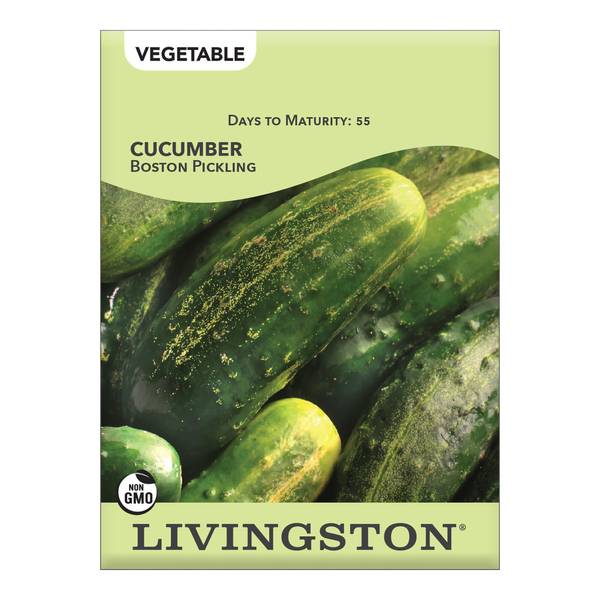 Photo of Boston Pickling Cucumber