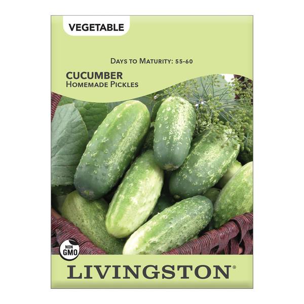 Photo of Homemade Pickle Cucumbers