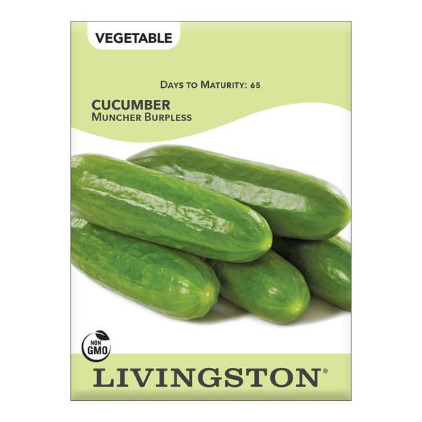 Photo of Muncher Cucumber