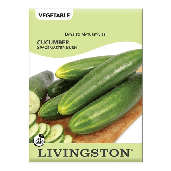 Photo of Spacemaster Bush Cucumber