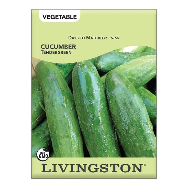 Photo of Tendergreen Burpless Cucumber
