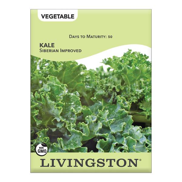 Photo of Improved Dwarf Siberian Kale