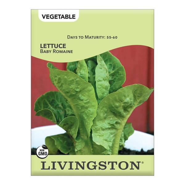 Photo of Baby Romaine Lettuce