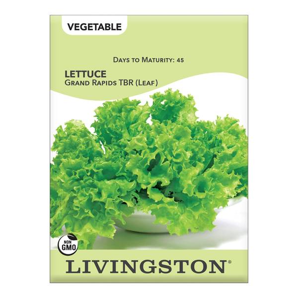 Photo of TBR Grand Rapids Leaf Lettuce