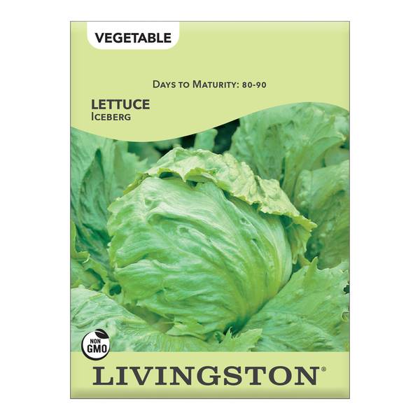 Photo of Iceberg Lettuce