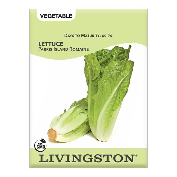 Photo of Parris Island Romaine Lettuce