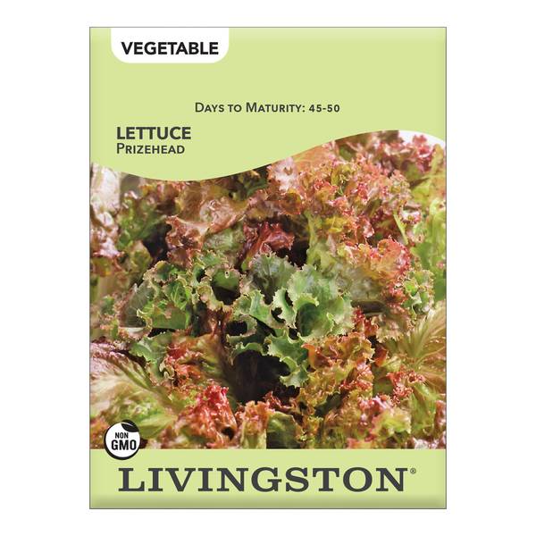 Photo of Prizehead Lettuce