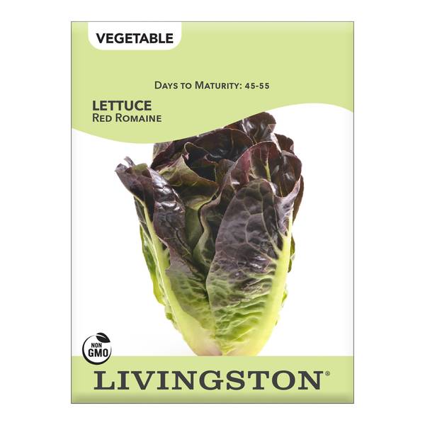 Photo of Red Romaine Lettuce