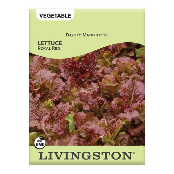 Photo of Royal Red Lettuce