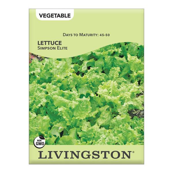 Photo of Simpson Elite Lettuce