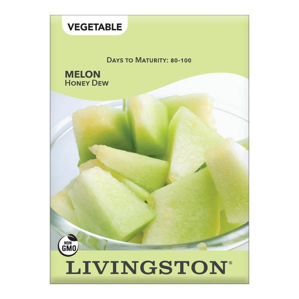 Photo of Honey Dew Melon