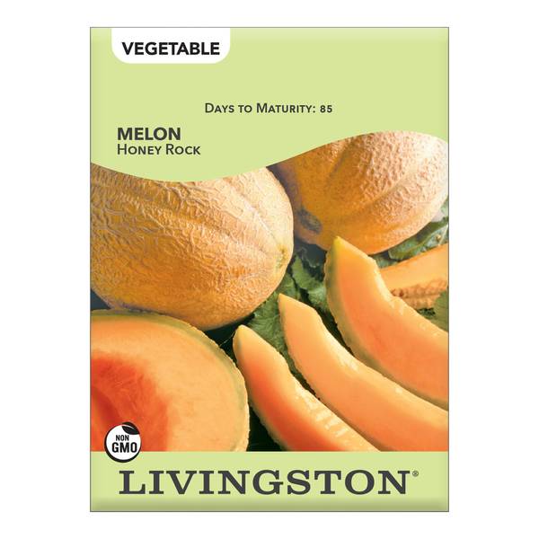 Photo of Honey Rock Melon