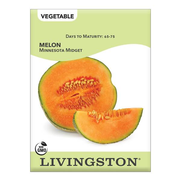 Photo of Minnesota Midget Melon