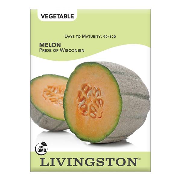 Photo of Pride of Wisconsin Melon