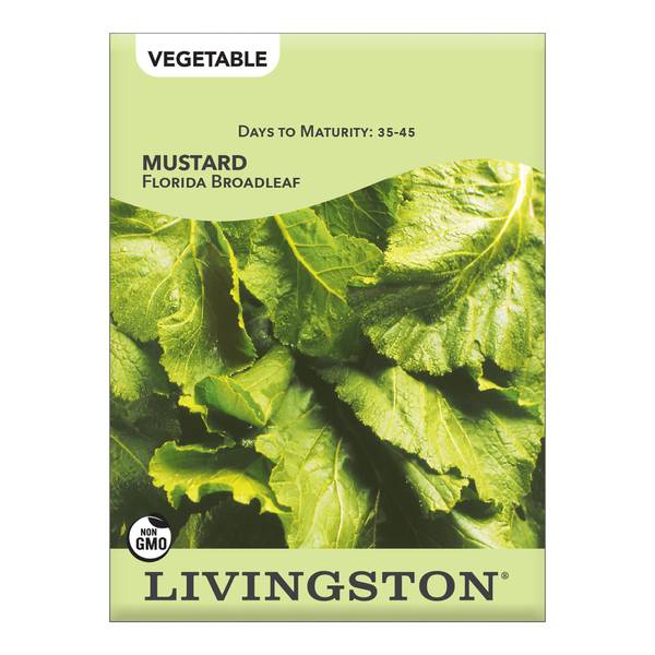 Photo of Florida Broadleaf Mustard