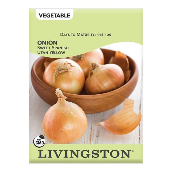 Photo of Sweet Spanish Yellow Onion