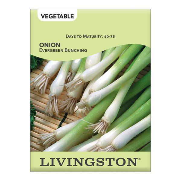 Photo of Evergreen Bunching Onion