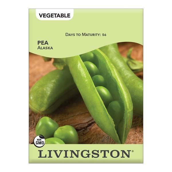 Photo of Alaska Pea