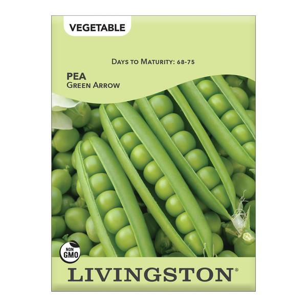 Photo of Green Arrow Pea