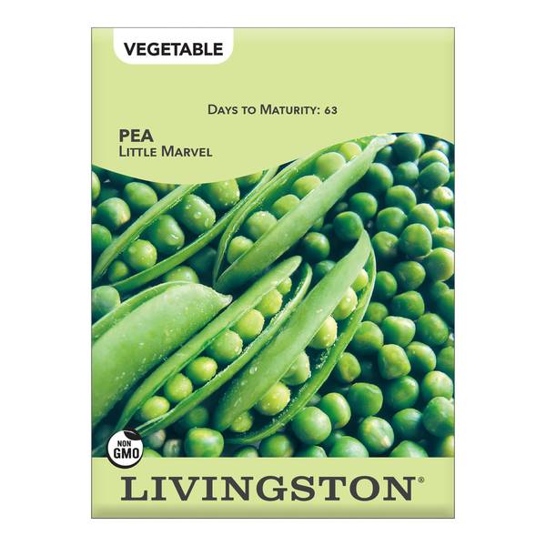 Photo of Little Marvel Pea
