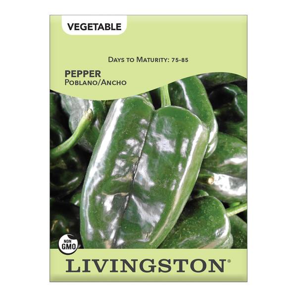 Photo of Poblano/Ancho Pepper