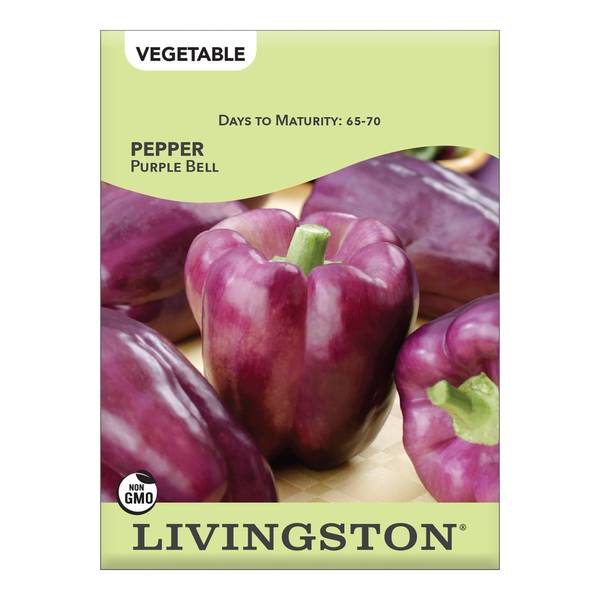 Photo of Purple Belle Pepper