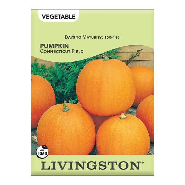 Photo of Connecticut Field Pumpkins