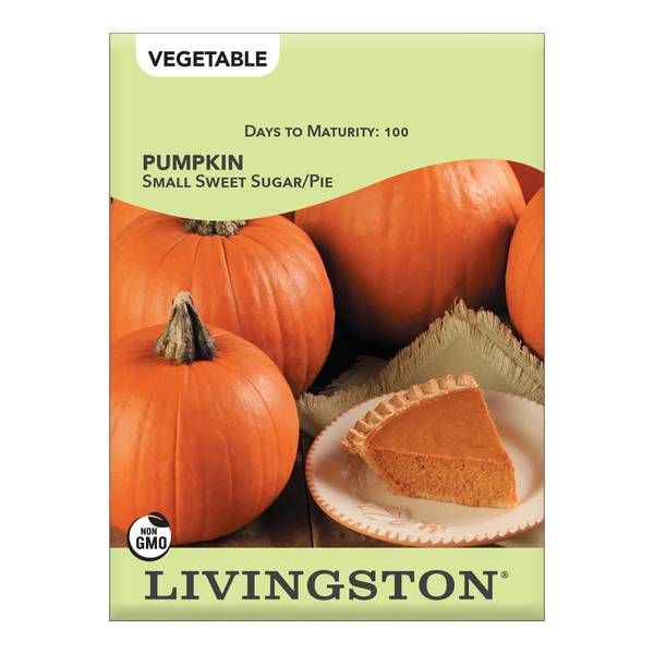 Photo of Small Sweet Sugar Pie Pumpkin