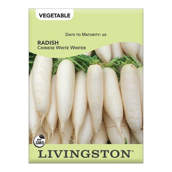 Photo of Chinese White Winter Radish