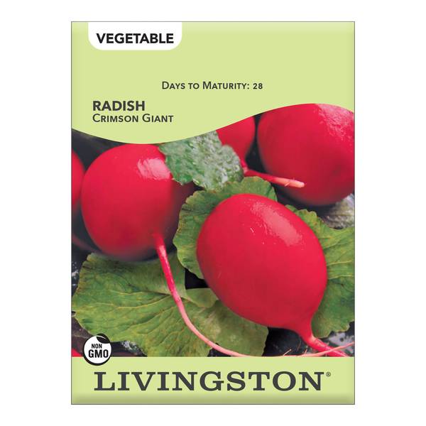 Photo of Crimson Giant Radish