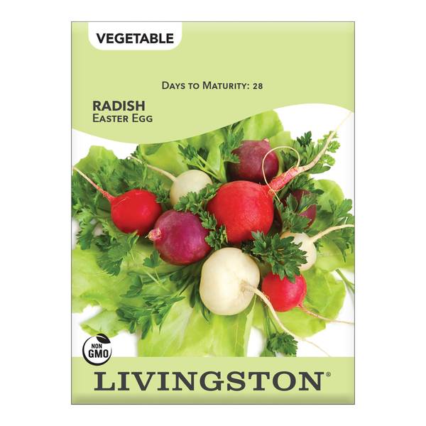 Photo of Easter Egg Radish