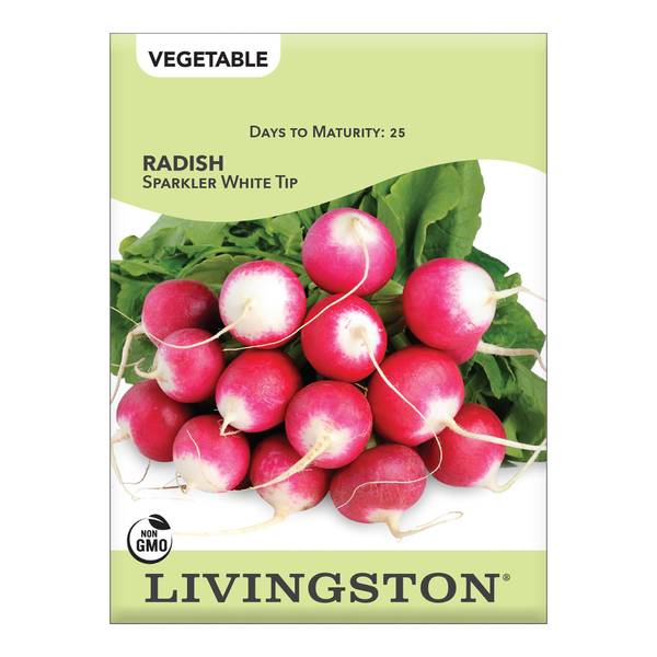 Photo of Sparkler White Tip Radish