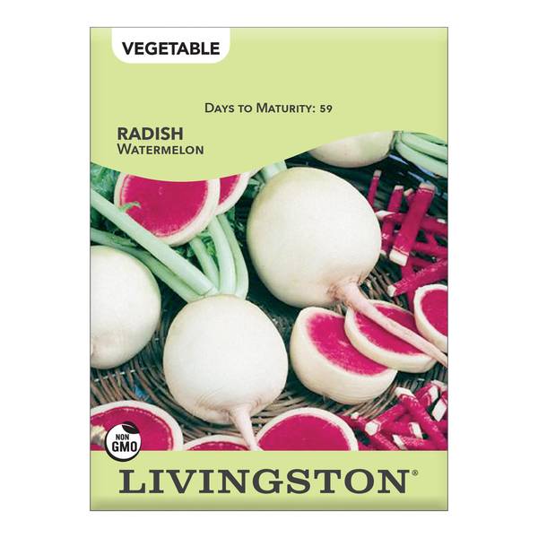 Photo of Watermelon Radish