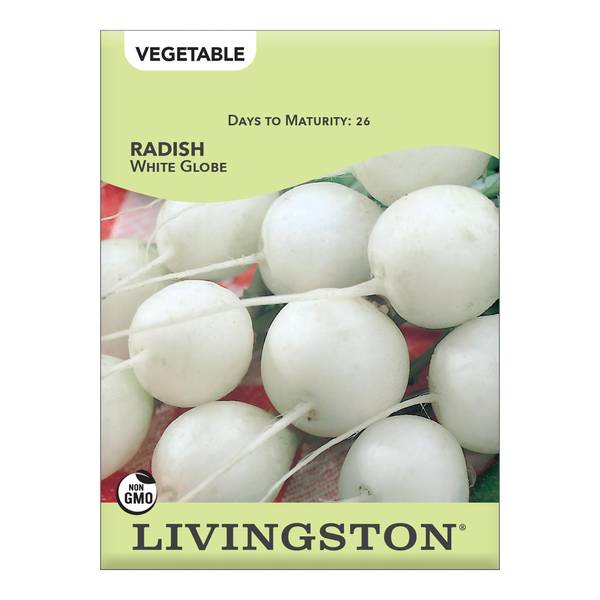 Photo of White Globe Radish