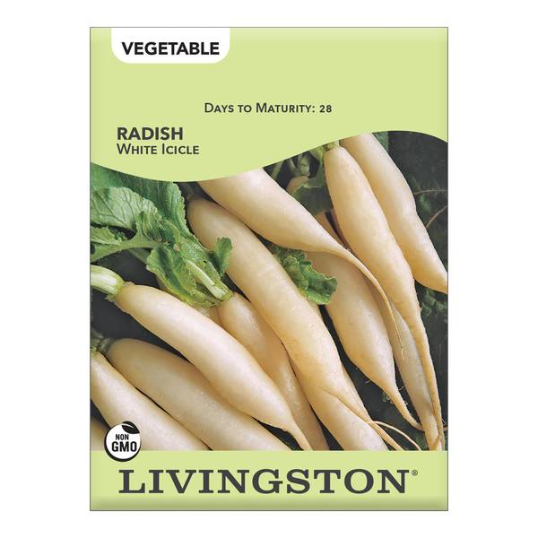 Photo of White Icicle Radish