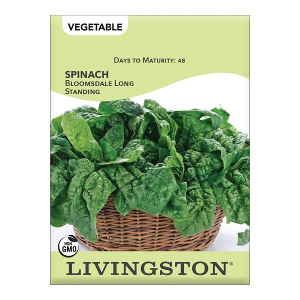 Photo of Bloomsdale Long Standing Spinach