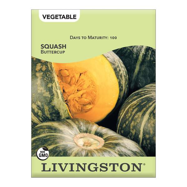 Photo of Buttercup Squash