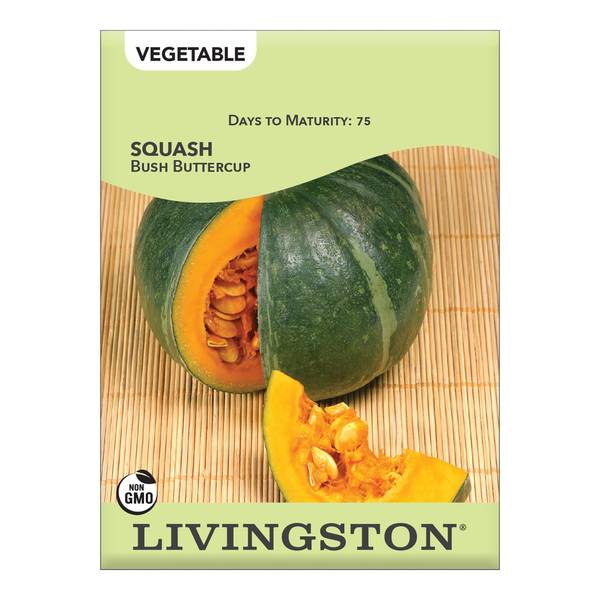 Photo of Bush Buttercup Squash