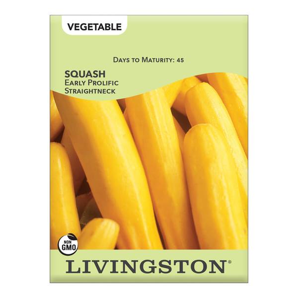 Photo of Early Prolific Straightneck Squash