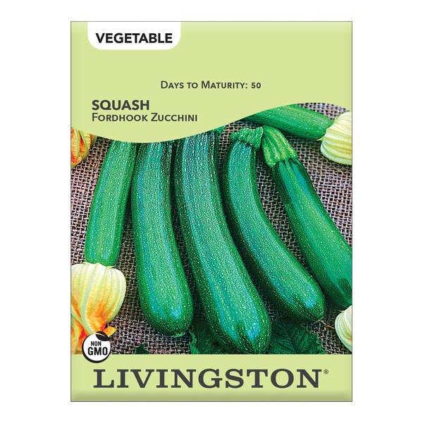 Photo of SQUASH - FORDHOOK ZUCCHINI