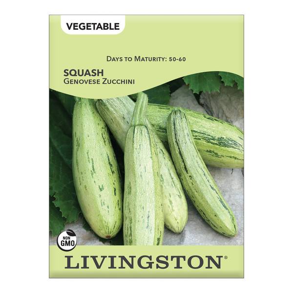 Photo of Genovese Squash
