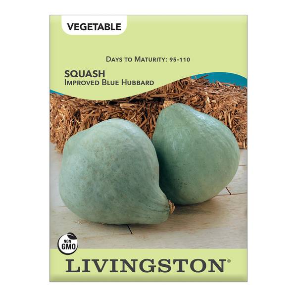 Photo of Blue Hubbard Squash