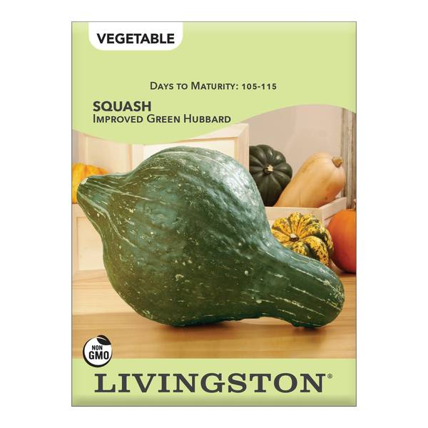 Photo of Green Hubbard Squash