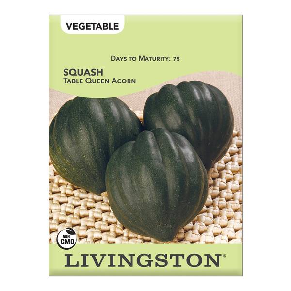 Photo of Mammoth Table Queen/Royal Acorn Squash